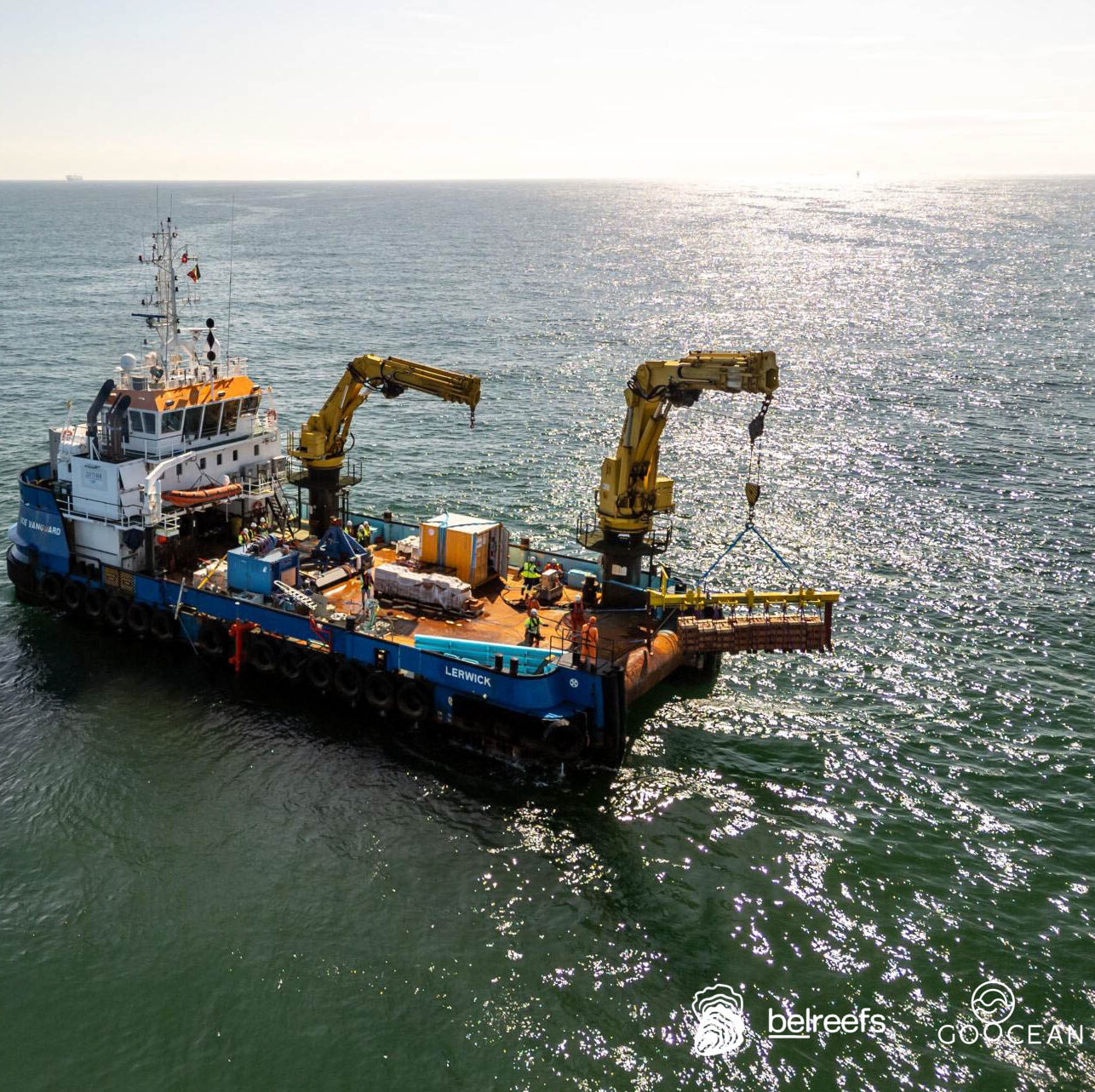 GoOcean_Belreefs2025_11